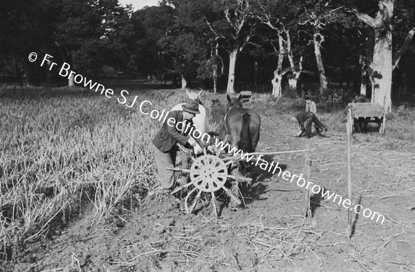 LIFTING POTATO CROP OAKWOOD TRAINGLE